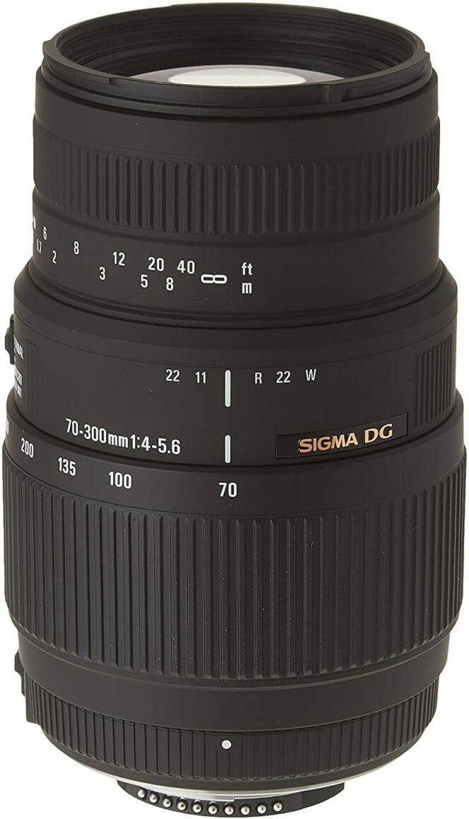 Sigma 70-300mm F/4-5.6 DG Macro