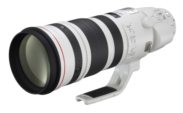 Canon EF 200-400mm F/4L IS USM Extender 1.4X