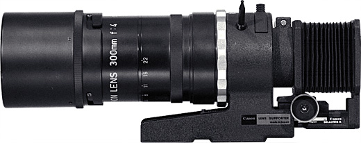 Canon R 300mm F/4